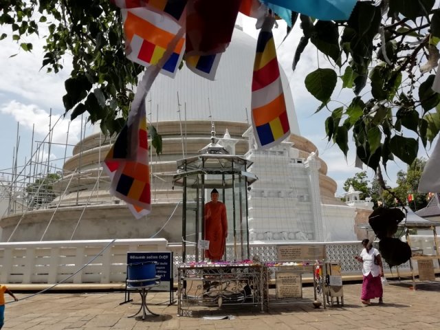 ලෝක වැඩිහිටි දිනයට