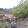 ලෝක වැඩිහිටි දිනයට
